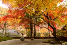 HOSHINOYA Kyoto