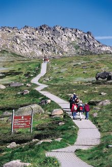 Bushwalking in Summer Thredbo Kosciuszko