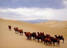 Sand Dunes, Mongolia