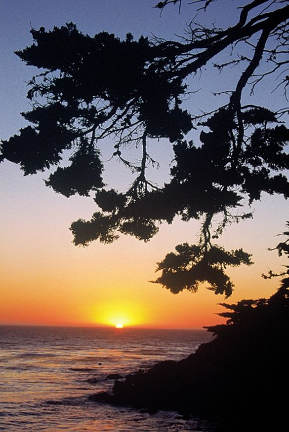 Monterey Sunset