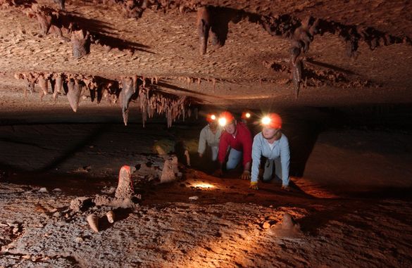 Wild Cave Tour