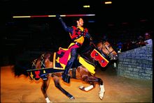 Medieval Times Dinner & Tournament 