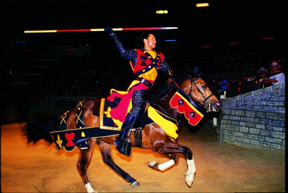 Medieval Times Dinner & Tournament 