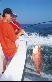 First Annual Orange Beach Red Snapper World Championship April 21-May 20
