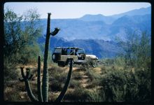 Jeep Tour - McDowell Mountain Foothills - Photo courtesy Scottsdale Convention & Visitors Bureau