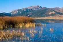 MONTANA NATIONAL FORESTS