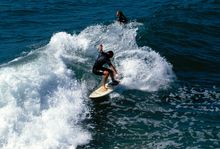 Surf along L.A.�s 81 miles of coastline.