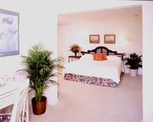 Jr. Suite