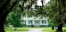 white-columned Plantation House, standing like Tara in �Gone With the Wind� at the end of a long avenue of live oaks.