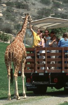 Safari adventure with a private guide at the San Diego Zoo�s Wild Animal Park.