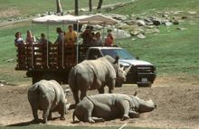Safari adventure with a private guide at the San Diego Zoo�s Wild Animal Park.