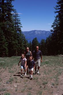 Northstar offers free self-guided nature hikes daily, or families can pay to ride the gondola and even bring the dog!
