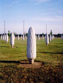 Human-size cement ears of corn that seem to sprout from one Dublin field.