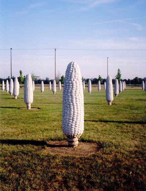 Human-size cement ears of corn that seem to sprout from one Dublin field.