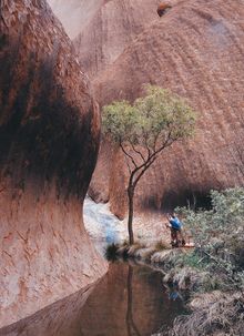 Uluru