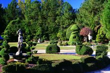 South Carolina blooms year round and displays a multitude of foliage in a variety of settings.