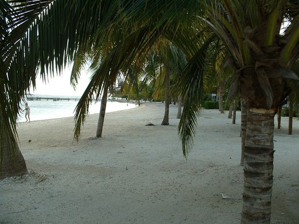 Secluded beaches are calling....