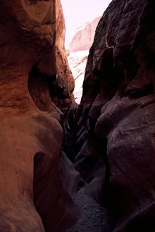 The entire Rocky Mountain Range is riddled with climbing routes suitable for all abilities.