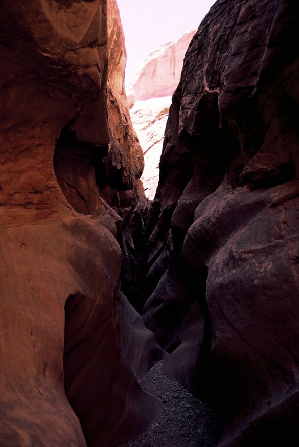 The entire Rocky Mountain Range is riddled with climbing routes suitable for all abilities.