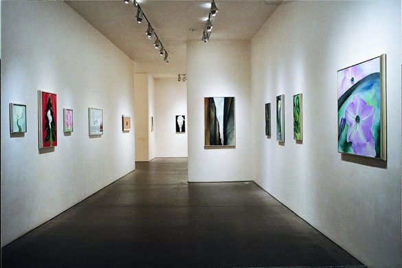 The Georgia O�Keeffe Museum