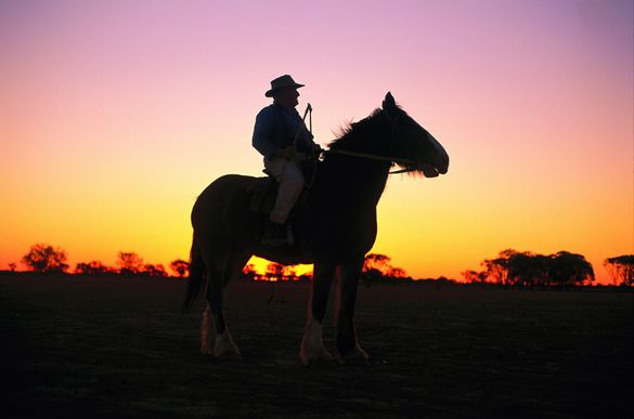 For an Epic Adventure Take Part in the Great Australian Outback Cattle Drive, Spring 2005