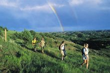 Summer Tourism Season Expected to Finish Strong 