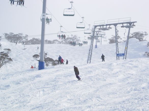 Over 80cm of pure powder in 4 days.