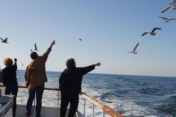 Dana Wharf is Seeing Blue...Blue WHales Within Three-Mile Radius of Dana Point!
