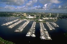 Take a Walk on the Wild Side: Enjoying Miami's Natural Wonders
