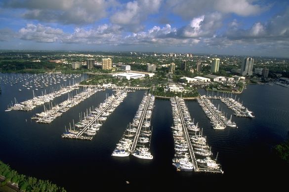 Take a Walk on the Wild Side: Enjoying Miami's Natural Wonders