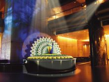 Crown's Floral Fantasy