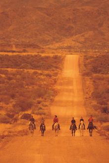 Horse riding in South Australia