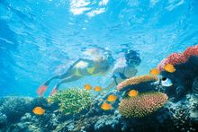snorkelling
