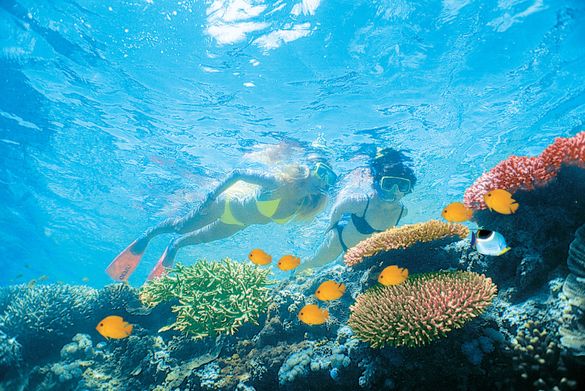 snorkelling