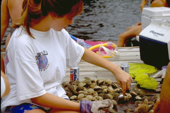 Steinhatchee Serves Down-Home Dining Delights