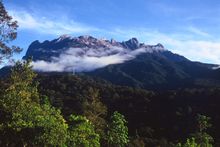 Mt Kinabalu