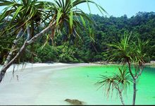Pangkor Island