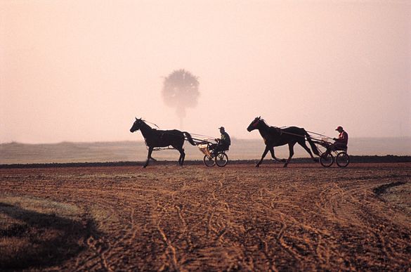 Spring Garden Ranch Training Center