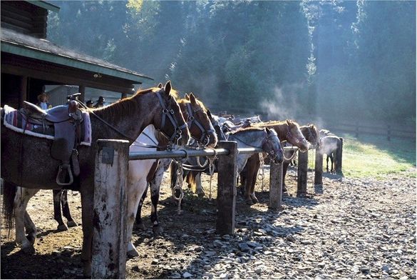 Dude Ranchers