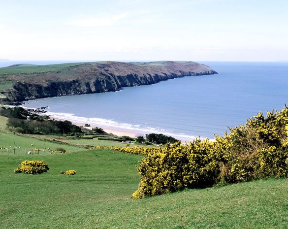 Discover Devon