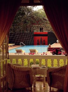 View from Garden Room