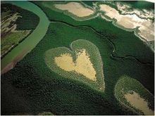 The Heart