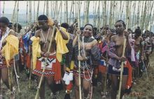 Zulu Royal Reed Festival