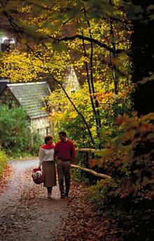 Discover Devon 