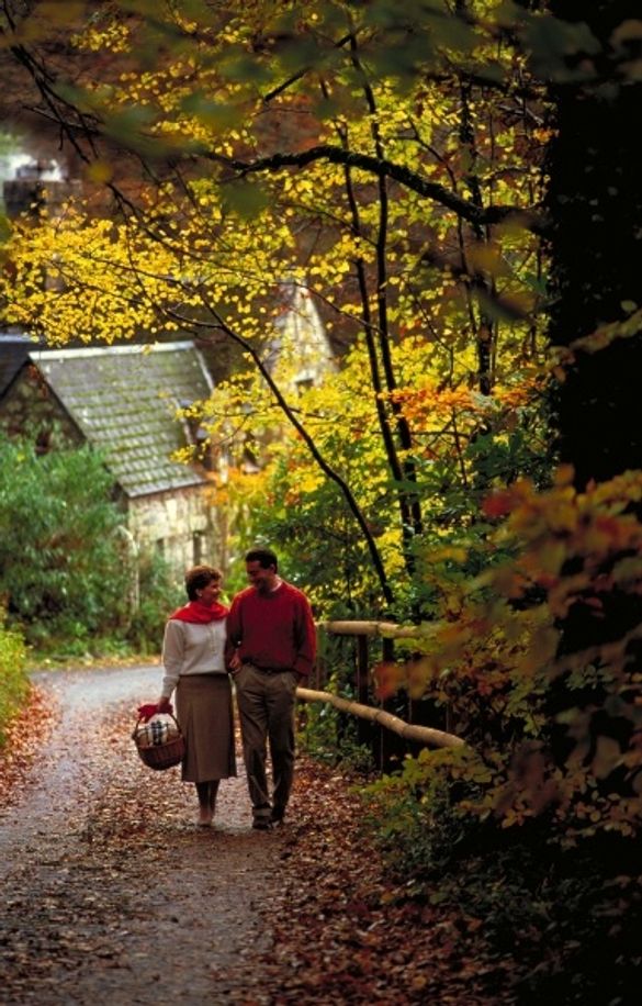 Discover Devon 