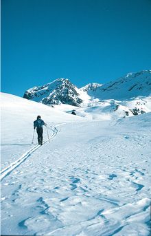 Cross Country Skiiers