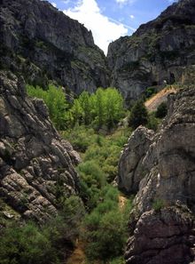 Sierra des Mamblas
