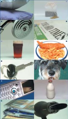 What Did You Miss Most On Holiday?