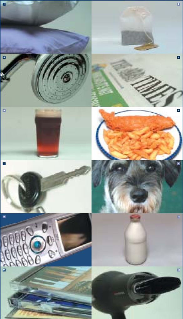 What Did You Miss Most On Holiday?