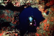 Diving